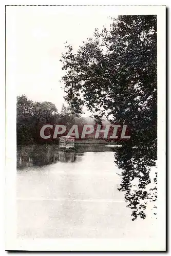 Cartes postales Chateau de Fontainebleau L'Etang des Carpes