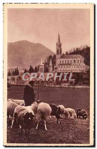 Cartes postales Lourdes la Basilique Berger Moutons