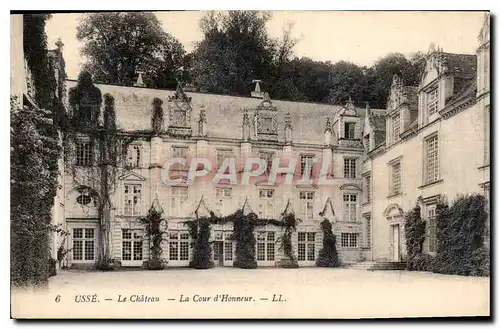 Cartes postales Usse le Chateau la cour d'honneur