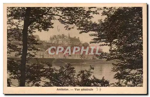 Cartes postales Amboise Vue generale