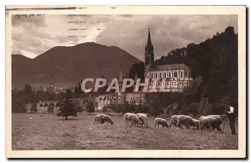 Ansichtskarte AK Lourdes La Basilique Vue de la Praire de la Grotte