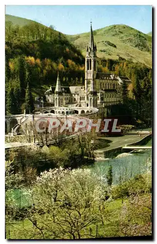 Cartes postales Lourdes La Basilique et le gave