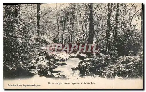 Cartes postales Bagneres de Bigorre Sous Bois