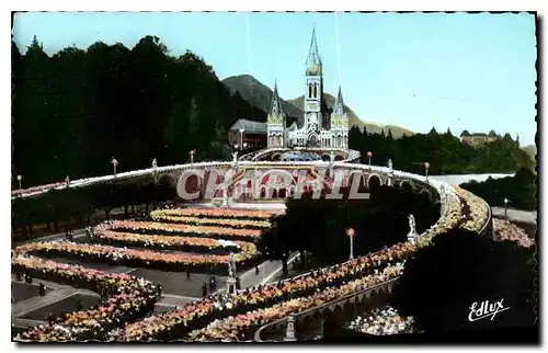 Cartes postales Lourdes la Basilique illuminee et la Procession aux Flambeaux