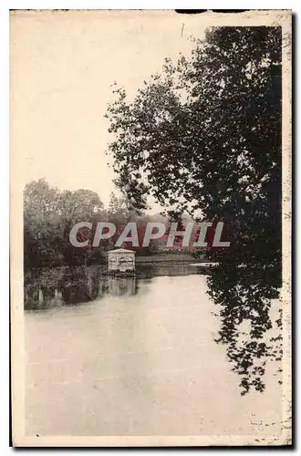 Cartes postales Chateau de Fontainebleau l'Etang des Carpes