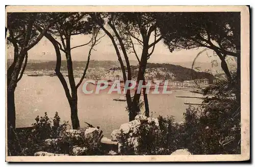 Cartes postales Nice vue entre les Pins