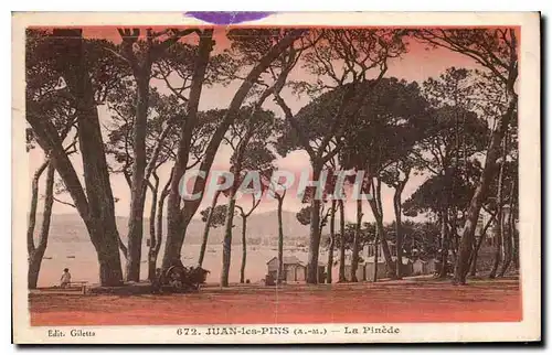 Cartes postales Juan les Pins A M la Pinede