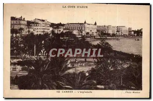 Cartes postales Cannes l'Esplanade