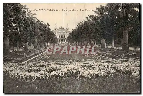 Cartes postales Monte Carlo les Jardins le casino