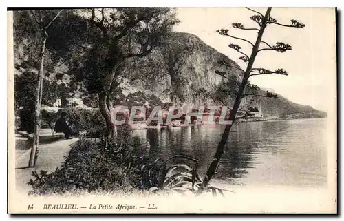 Cartes postales Beaulieu la Petite Afrique