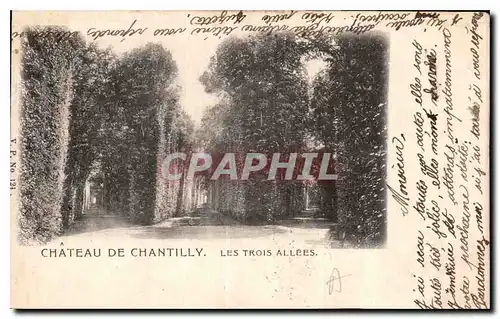 Cartes postales Chateau de Chantilly les trois allees