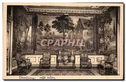 Cartes postales Cheverny Loir et Cher Petit Salon