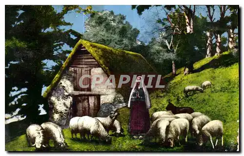 Cartes postales Lourdes Sainte Bernadette prie en gardant ses moutons