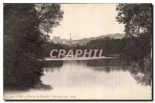 Ansichtskarte AK Lyon parc de la tete d'Or vue sur le lac