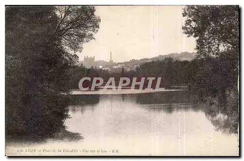 Cartes postales Lyon parc de la tete d'Or vue sur le lac