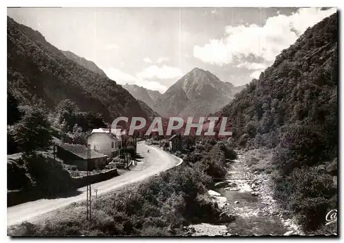 Cartes postales Cauterets le Gave de Cauterets et la royte de Pierrefite