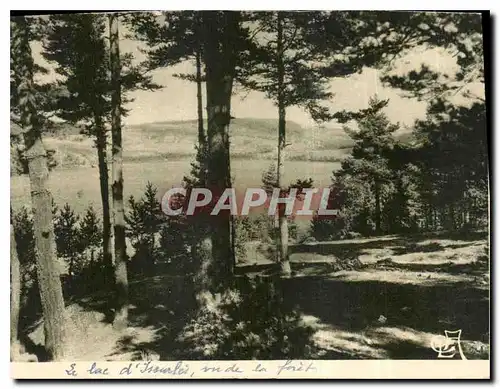 Cartes postales Lac d'Issarles vu de la foret