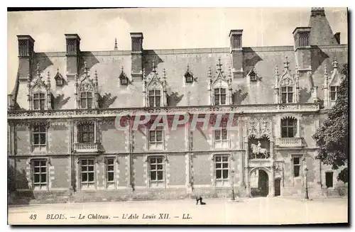 Cartes postales Blois Le Chateau l'Aile Louis XII