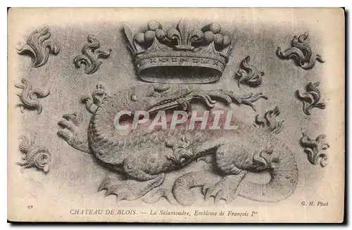 Cartes postales Chateau de Blois La Salamandre