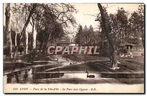 Ansichtskarte AK Lyon Parc de la Tete d'Or Le Parc aux Cygnes