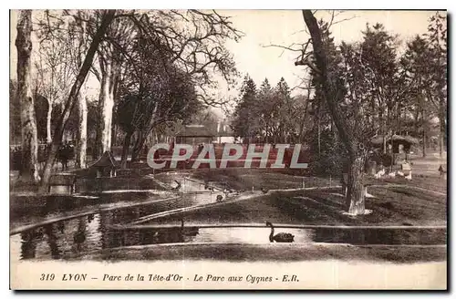 Cartes postales Lyon Parc de la Tete d'Or Le Parc aux Cygnes
