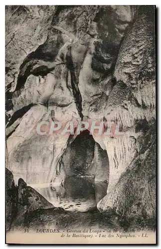 Cartes postales Lourdes Grolles du Loups de la Basilique