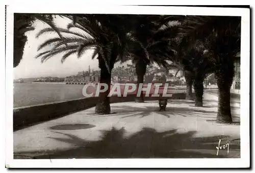 Ansichtskarte AK Menton Alpes Mmes la vile vue a travers les Palmiers