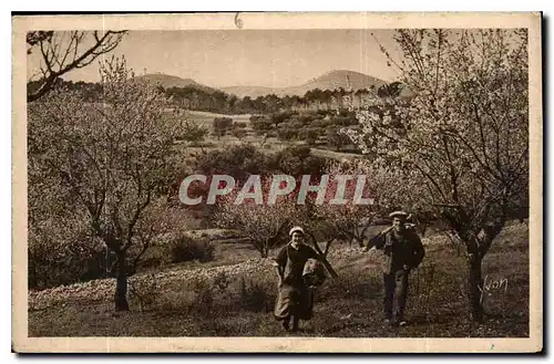 Cartes postales Cote d'Azur Printemps