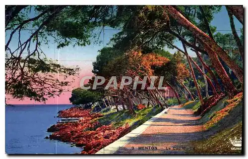 Cartes postales Menton le Cap Martin