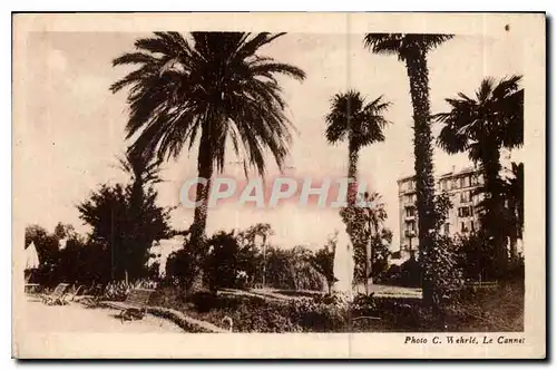 Ansichtskarte AK Refuge des Cheminots de Campestra a Cannes Alpes Maritimes les statuettes de marbre