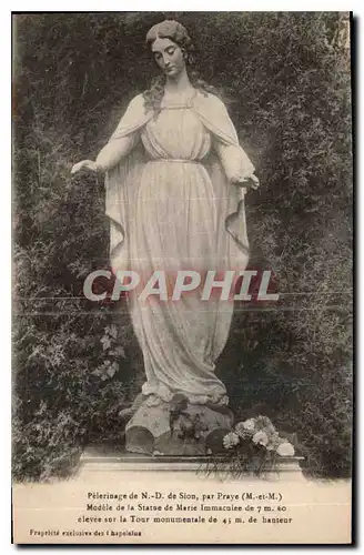 Cartes postales Pelerinage de N D de Sion par Pray M et M Modele de la Statue de Marie Immaculee elevee sur la T