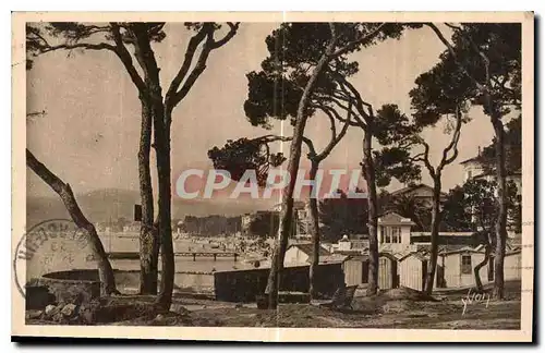 Ansichtskarte AK Cote d'Azur Juan les Pins la Plage vue a travers les Pins