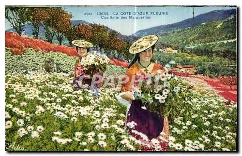 Cartes postales La Cote d'Azur fleurie Cueillette des Marguerites Femme Folklore