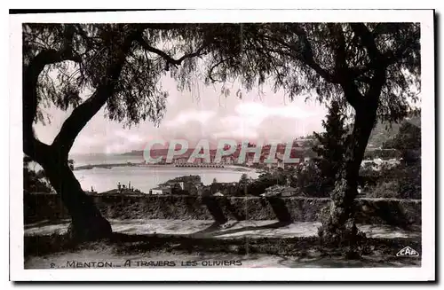 Cartes postales Menton a travers les oliviers