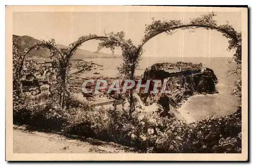 Cartes postales Cote d'Azur Artistique Monaco vue prise entre les fleurs