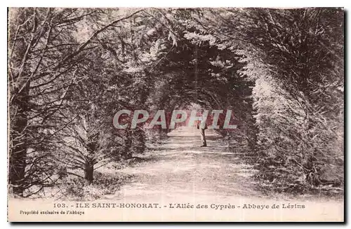 Ansichtskarte AK Ile Saint Honorat l'Allee des Cypres Abbaye de Lerins