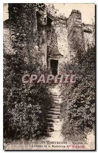 Cartes postales Allee de Chevreuse Chevreuse Escalier du Chateau de la Madeleine