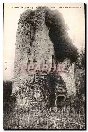 Ansichtskarte AK Provins S et M remparte de l'Ouest tour aux Pourceaux