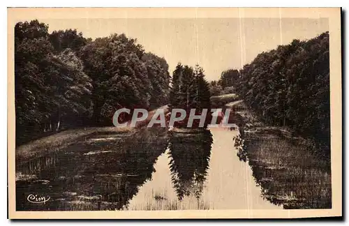 Cartes postales Etang du Puits Cher la reserve vue de droite