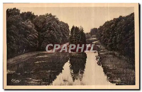 Cartes postales Etang du Puits Cher La reserve vue de droite