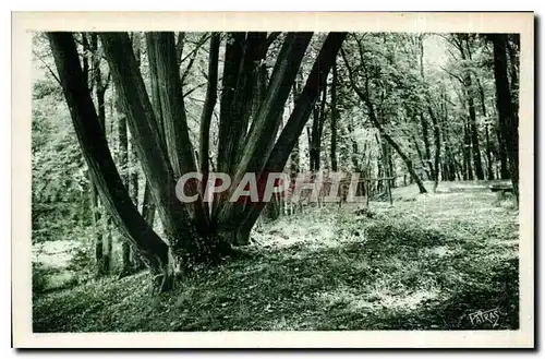 Cartes postales Chateau de Voisins Louveciennes Sous Bois