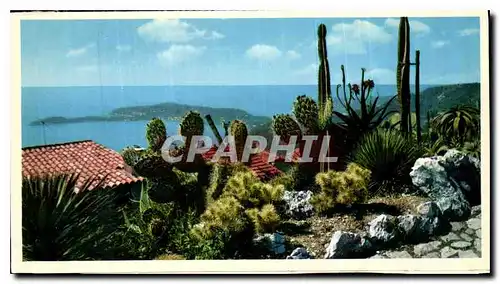 Cartes postales moderne Le Jardin exotique au fond le Cap Ferrat