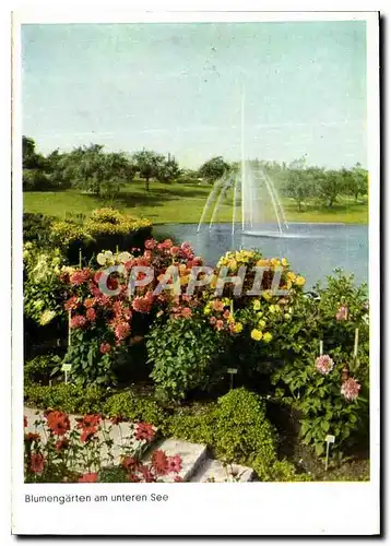Cartes postales moderne Hohenpark Killesberg Blumengarten am unteren See