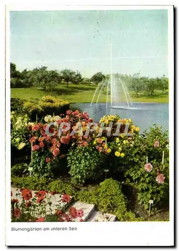 Moderne Karte Hohenpark Killesberg Blumengarten am unteren See