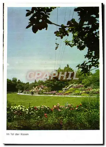 Cartes postales moderne Hohenpark Killesberg Im Tal del Rosen