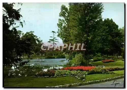 Cartes postales moderne Le Vesinet Yvelines Les Ibis