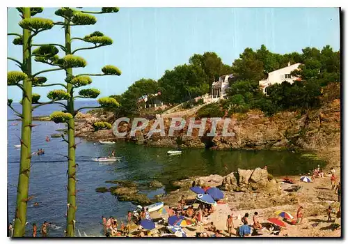 Cartes postales moderne Une calanque aux Issambres Environs de St Raphael