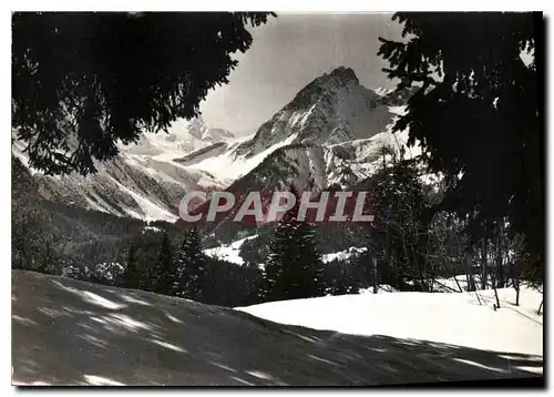 Cartes postales moderne Les Alpes vues par