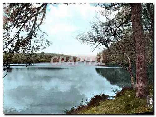 Cartes postales moderne Foret de Tropicals Etang de Pirot