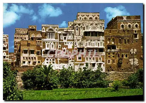 Cartes postales moderne Yemen Potagers et petits palais typiques